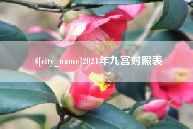 百色2021年九宫对照表
