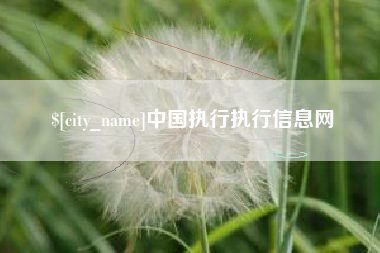 百色中国执行执行信息网