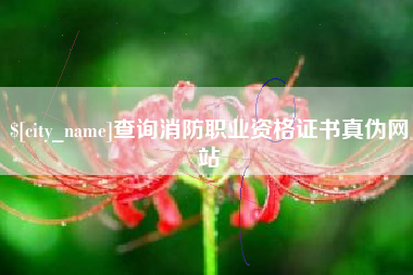 百色查询消防职业资格证书真伪网站