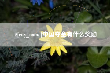 百色中国夺金有什么奖励