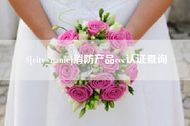 百色消防产品ccc认证查询