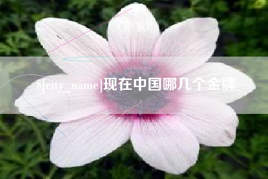 百色现在中国哪几个金牌