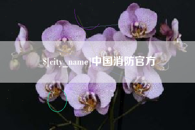 百色中国消防官方
