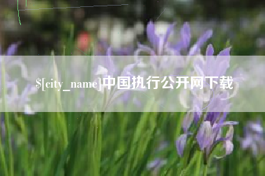 百色中国执行公开网下载
