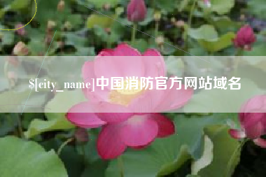 百色中国消防官方网站域名