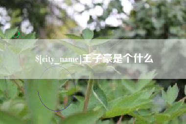 百色王子豪是个什么