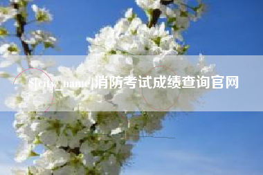 百色消防考试成绩查询官网
