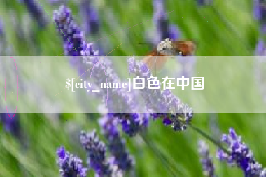 百色白色在中国