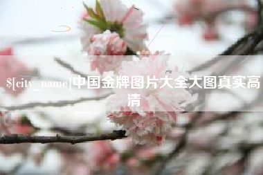 百色中国金牌图片大全大图真实高清