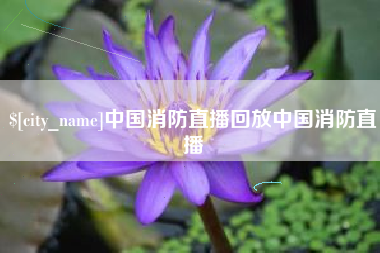 百色中国消防直播回放中国消防直播