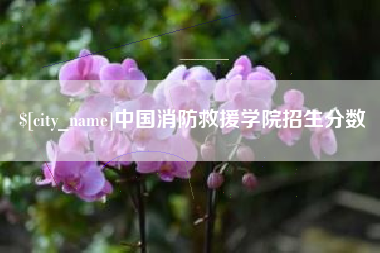 百色中国消防救援学院招生分数