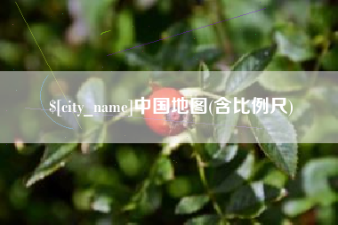 百色中国地图(含比例尺)