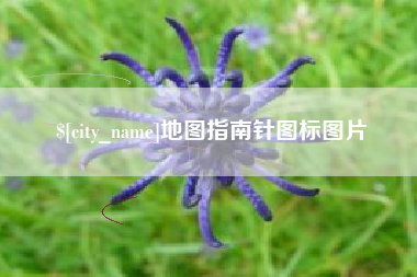 百色地图指南针图标图片