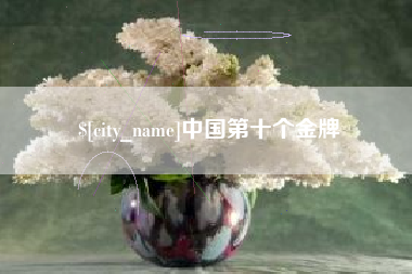 百色中国第十个金牌