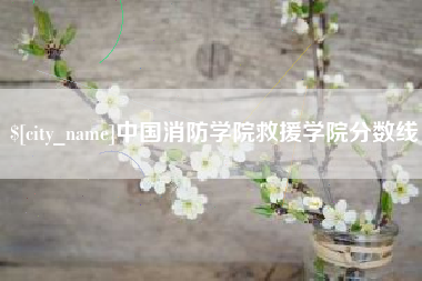 百色中国消防学院救援学院分数线