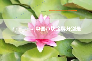 百色中国六块金牌分别是