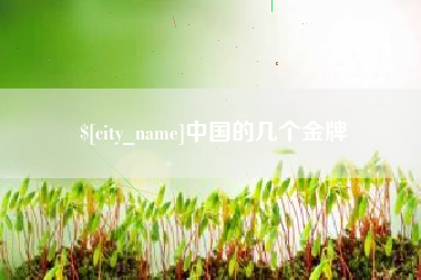 百色中国的几个金牌
