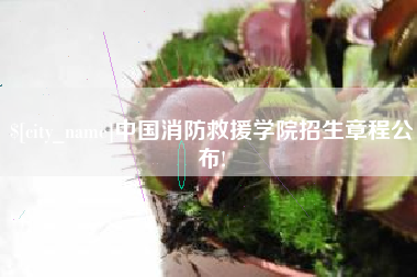 百色中国消防救援学院招生章程公布!