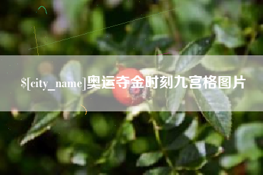 百色奥运夺金时刻九宫格图片