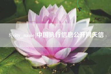 百色中国执行信息公开网失信