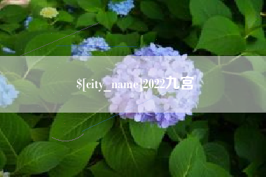 百色2022九宫