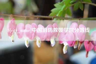 百色中国消防救援学院分数线