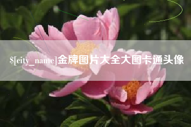 百色金牌图片大全大图卡通头像