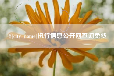 百色执行信息公开网查询免费