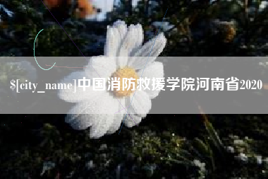 百色中国消防救援学院河南省2020